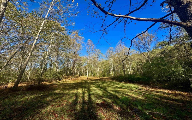 Tract 2 Hackers Creek Road, Buckhannon, West Virginia 26201, ,Lots/land,For Sale,Hackers Creek,10162080