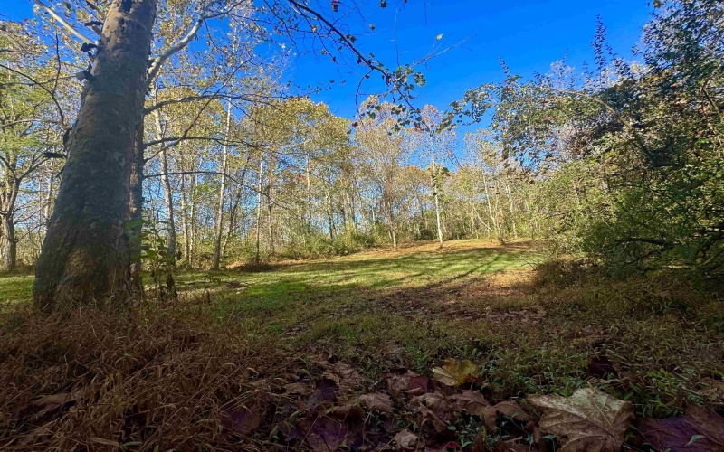 Tract 2 Hackers Creek Road, Buckhannon, West Virginia 26201, ,Lots/land,For Sale,Hackers Creek,10162080