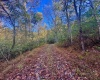 Tract 2 Hackers Creek Road, Buckhannon, West Virginia 26201, ,Lots/land,For Sale,Hackers Creek,10162080