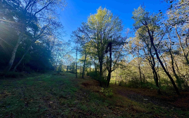 Tract 2 Hackers Creek Road, Buckhannon, West Virginia 26201, ,Lots/land,For Sale,Hackers Creek,10162080