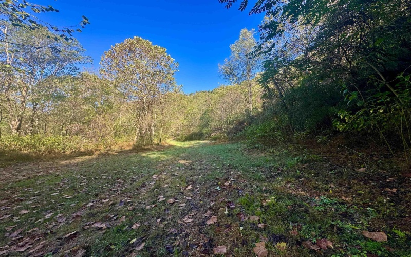 Tract 2 Hackers Creek Road, Buckhannon, West Virginia 26201, ,Lots/land,For Sale,Hackers Creek,10162080
