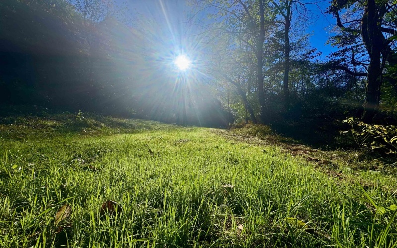 Tract 2 Hackers Creek Road, Buckhannon, West Virginia 26201, ,Lots/land,For Sale,Hackers Creek,10162080