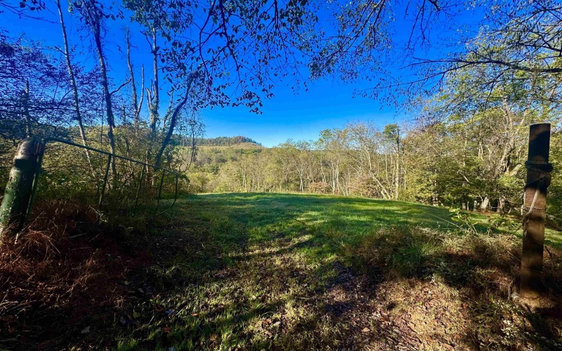 Tract 2 Hackers Creek Road, Buckhannon, West Virginia 26201, ,Lots/land,For Sale,Hackers Creek,10162080