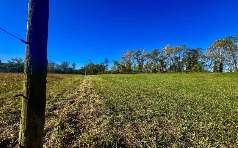 Tract 2 Hackers Creek Road, Buckhannon, West Virginia 26201, ,Lots/land,For Sale,Hackers Creek,10162080