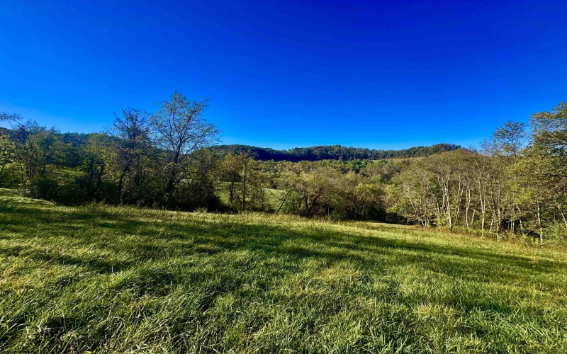Tract 2 Hackers Creek Road, Buckhannon, West Virginia 26201, ,Lots/land,For Sale,Hackers Creek,10162080