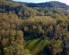 Tract 2 Hackers Creek Road, Buckhannon, West Virginia 26201, ,Lots/land,For Sale,Hackers Creek,10162080