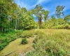TBD Knobtown Road, Belington, West Virginia 26250, ,Lots/land,For Sale,Knobtown,10156413 TBD Knobtown Road, Belington, West Virginia 26250, ,Lots/land,For Sale,Knobtown,10156413