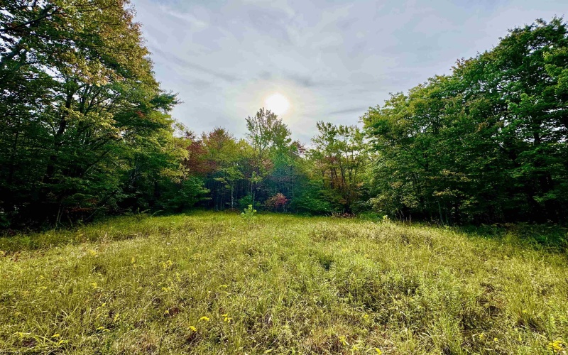 TBD Knobtown Road, Belington, West Virginia 26250, ,Lots/land,For Sale,Knobtown,10156413 TBD Knobtown Road, Belington, West Virginia 26250, ,Lots/land,For Sale,Knobtown,10156413
