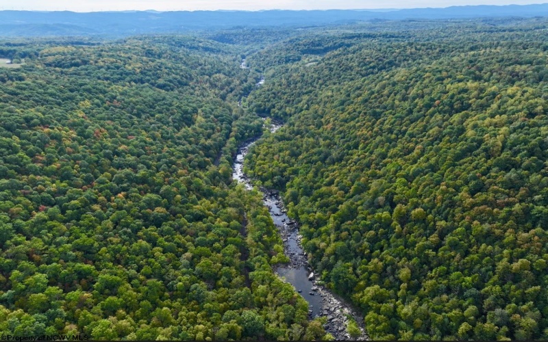 TBD Knobtown Road, Belington, West Virginia 26250, ,Lots/land,For Sale,Knobtown,10156413 TBD Knobtown Road, Belington, West Virginia 26250, ,Lots/land,For Sale,Knobtown,10156413