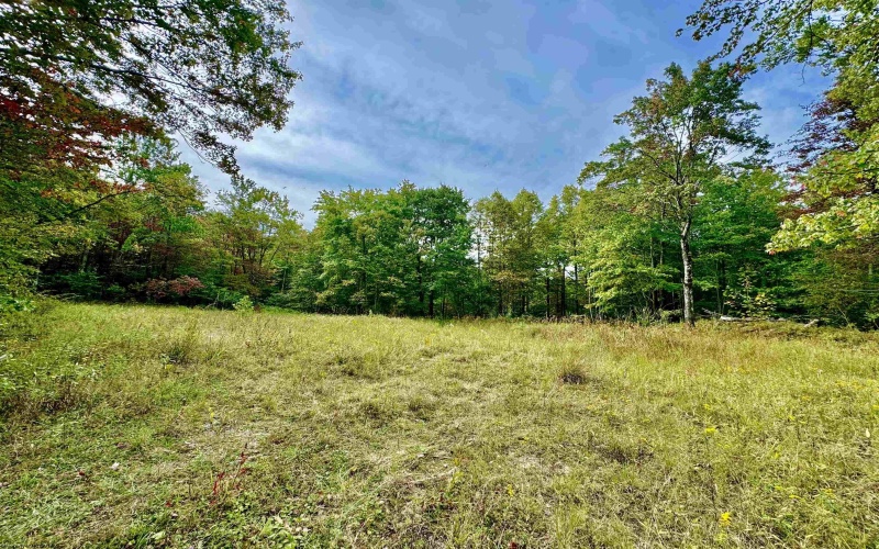 TBD Knobtown Road, Belington, West Virginia 26250, ,Lots/land,For Sale,Knobtown,10156413 TBD Knobtown Road, Belington, West Virginia 26250, ,Lots/land,For Sale,Knobtown,10156413