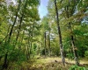 TBD Knobtown Road, Belington, West Virginia 26250, ,Lots/land,For Sale,Knobtown,10156413 TBD Knobtown Road, Belington, West Virginia 26250, ,Lots/land,For Sale,Knobtown,10156413