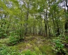 TBD Knobtown Road, Belington, West Virginia 26250, ,Lots/land,For Sale,Knobtown,10156413 TBD Knobtown Road, Belington, West Virginia 26250, ,Lots/land,For Sale,Knobtown,10156413