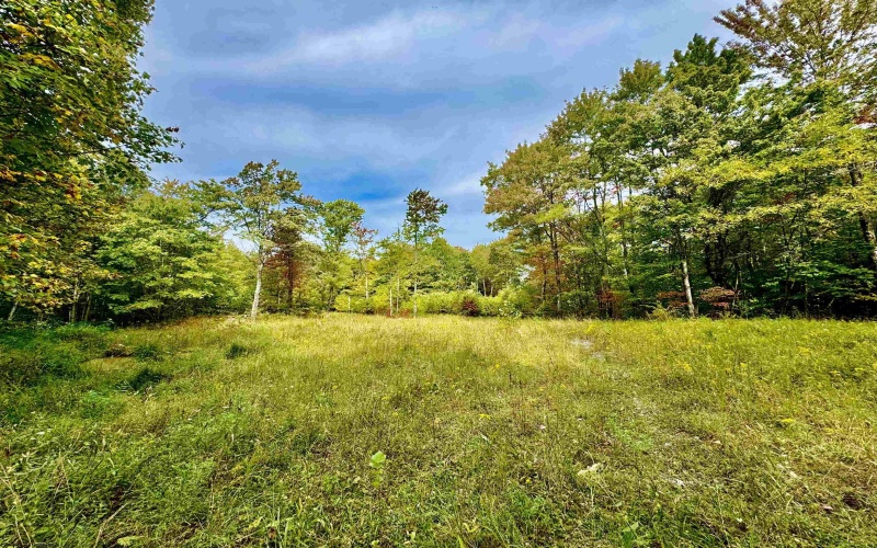 TBD Knobtown Road, Belington, West Virginia 26250, ,Lots/land,For Sale,Knobtown,10156413 TBD Knobtown Road, Belington, West Virginia 26250, ,Lots/land,For Sale,Knobtown,10156413