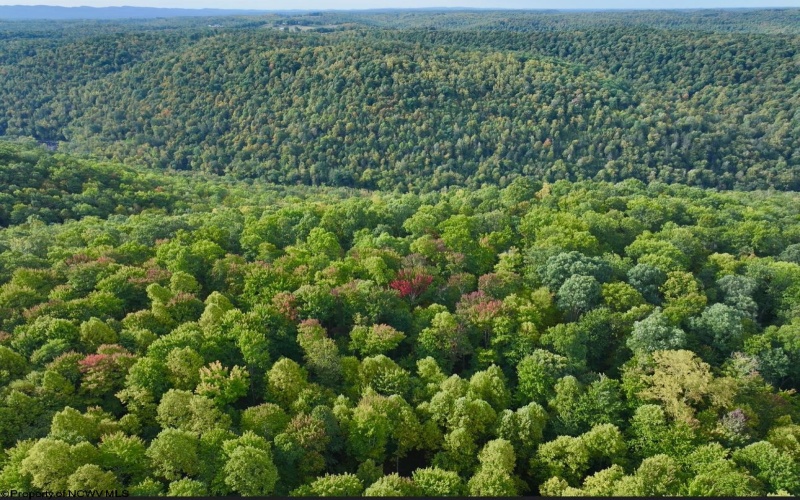 TBD Knobtown Road, Belington, West Virginia 26250, ,Lots/land,For Sale,Knobtown,10156413 TBD Knobtown Road, Belington, West Virginia 26250, ,Lots/land,For Sale,Knobtown,10156413