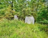 TBD Knobtown Road, Belington, West Virginia 26250, ,Lots/land,For Sale,Knobtown,10156413 TBD Knobtown Road, Belington, West Virginia 26250, ,Lots/land,For Sale,Knobtown,10156413
