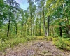 TBD Knobtown Road, Belington, West Virginia 26250, ,Lots/land,For Sale,Knobtown,10156413 TBD Knobtown Road, Belington, West Virginia 26250, ,Lots/land,For Sale,Knobtown,10156413