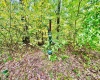 TBD Knobtown Road, Belington, West Virginia 26250, ,Lots/land,For Sale,Knobtown,10156413 TBD Knobtown Road, Belington, West Virginia 26250, ,Lots/land,For Sale,Knobtown,10156413