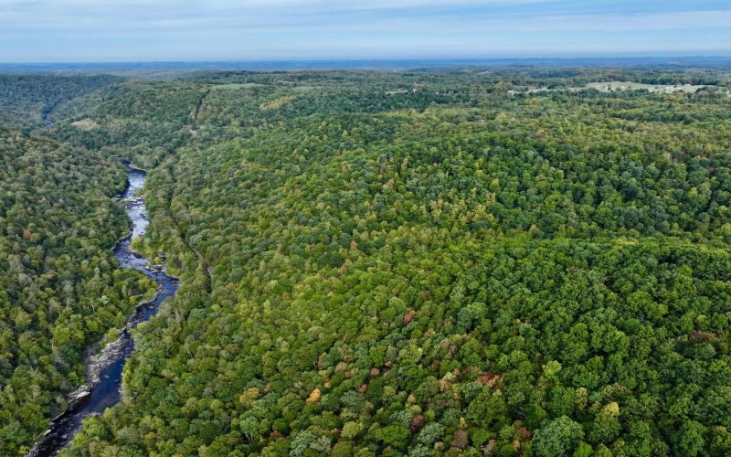 TBD Knobtown Road, Belington, West Virginia 26250, ,Lots/land,For Sale,Knobtown,10156413 TBD Knobtown Road, Belington, West Virginia 26250, ,Lots/land,For Sale,Knobtown,10156413