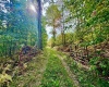 TBD Knobtown Road, Belington, West Virginia 26250, ,Lots/land,For Sale,Knobtown,10156413 TBD Knobtown Road, Belington, West Virginia 26250, ,Lots/land,For Sale,Knobtown,10156413