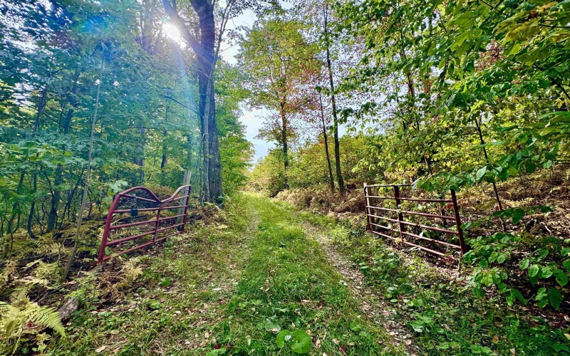 TBD Knobtown Road, Belington, West Virginia 26250, ,Lots/land,For Sale,Knobtown,10156413 TBD Knobtown Road, Belington, West Virginia 26250, ,Lots/land,For Sale,Knobtown,10156413
