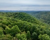 TBD Knobtown Road, Belington, West Virginia 26250, ,Lots/land,For Sale,Knobtown,10156413 TBD Knobtown Road, Belington, West Virginia 26250, ,Lots/land,For Sale,Knobtown,10156413