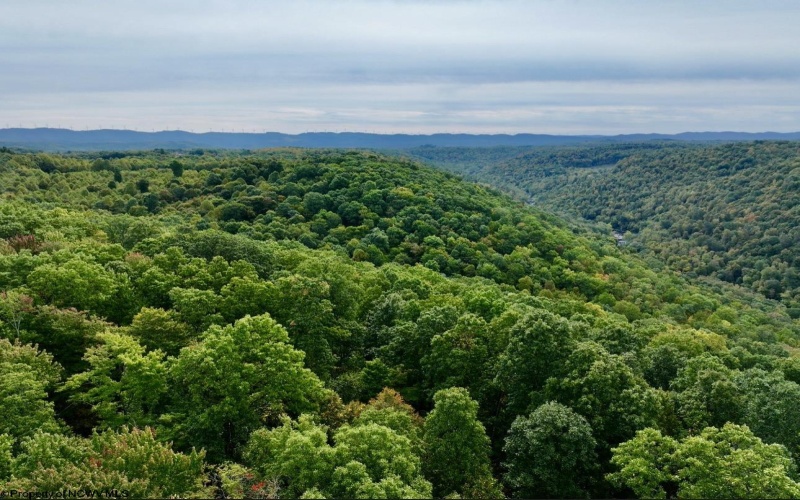 TBD Knobtown Road, Belington, West Virginia 26250, ,Lots/land,For Sale,Knobtown,10156413 TBD Knobtown Road, Belington, West Virginia 26250, ,Lots/land,For Sale,Knobtown,10156413