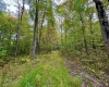 TBD Knobtown Road, Belington, West Virginia 26250, ,Lots/land,For Sale,Knobtown,10156413 TBD Knobtown Road, Belington, West Virginia 26250, ,Lots/land,For Sale,Knobtown,10156413