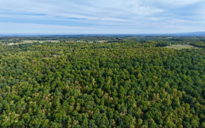 TBD Knobtown Road, Belington, West Virginia 26250, ,Lots/land,For Sale,Knobtown,10156413 TBD Knobtown Road, Belington, West Virginia 26250, ,Lots/land,For Sale,Knobtown,10156413