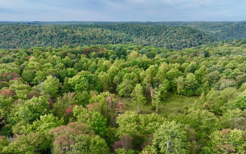 TBD Knobtown Road, Belington, West Virginia 26250, ,Lots/land,For Sale,Knobtown,10156413 TBD Knobtown Road, Belington, West Virginia 26250, ,Lots/land,For Sale,Knobtown,10156413