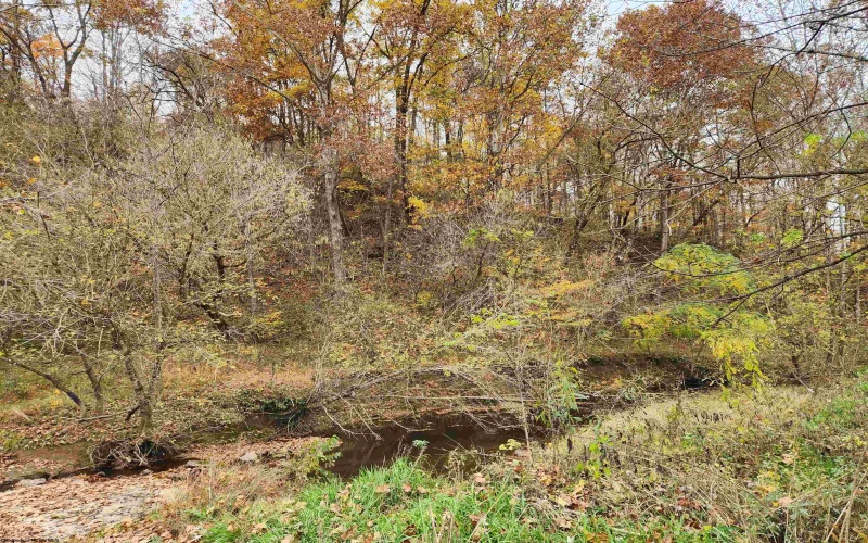 65 Buckwheat Road, Lost Creek, West Virginia 26385, ,Lots/land,For Sale,Buckwheat,10151744 65 Buckwheat Road, Lost Creek, West Virginia 26385, ,Lots/land,For Sale,Buckwheat,10151744