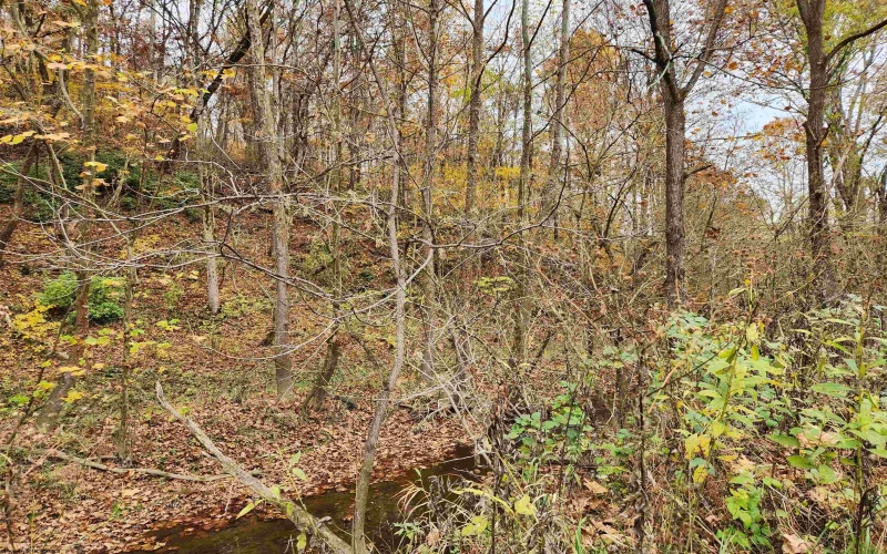 65 Buckwheat Road, Lost Creek, West Virginia 26385, ,Lots/land,For Sale,Buckwheat,10151744 65 Buckwheat Road, Lost Creek, West Virginia 26385, ,Lots/land,For Sale,Buckwheat,10151744