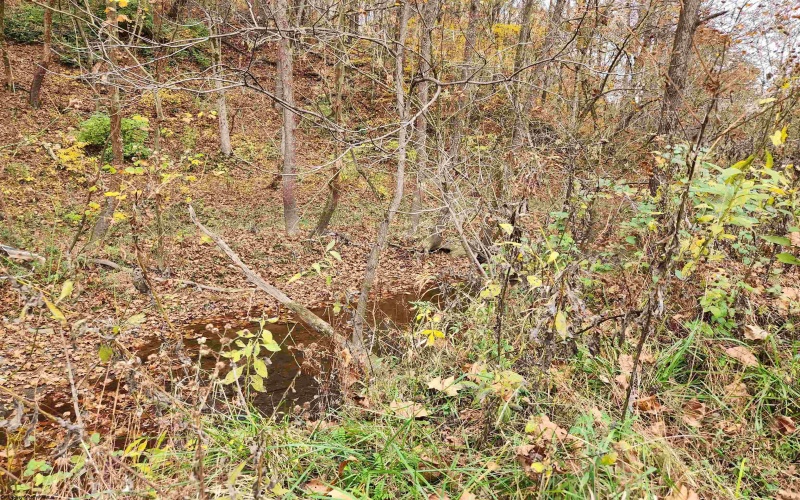 65 Buckwheat Road, Lost Creek, West Virginia 26385, ,Lots/land,For Sale,Buckwheat,10151744 65 Buckwheat Road, Lost Creek, West Virginia 26385, ,Lots/land,For Sale,Buckwheat,10151744