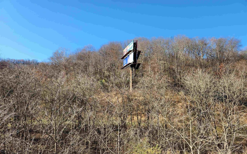 65 Buckwheat Road, Lost Creek, West Virginia 26385, ,Lots/land,For Sale,Buckwheat,10151744 65 Buckwheat Road, Lost Creek, West Virginia 26385, ,Lots/land,For Sale,Buckwheat,10151744