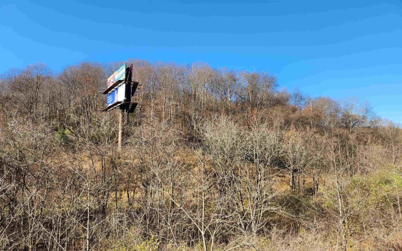 65 Buckwheat Road, Lost Creek, West Virginia 26385, ,Lots/land,For Sale,Buckwheat,10151744 65 Buckwheat Road, Lost Creek, West Virginia 26385, ,Lots/land,For Sale,Buckwheat,10151744