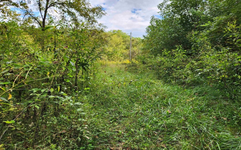 65 Buckwheat Road, Lost Creek, West Virginia 26385, ,Lots/land,For Sale,Buckwheat,10151744 65 Buckwheat Road, Lost Creek, West Virginia 26385, ,Lots/land,For Sale,Buckwheat,10151744