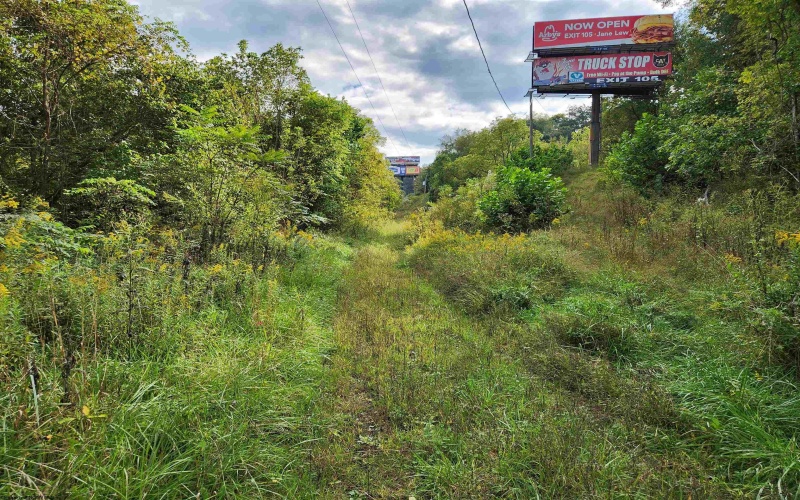 65 Buckwheat Road, Lost Creek, West Virginia 26385, ,Lots/land,For Sale,Buckwheat,10151744 65 Buckwheat Road, Lost Creek, West Virginia 26385, ,Lots/land,For Sale,Buckwheat,10151744