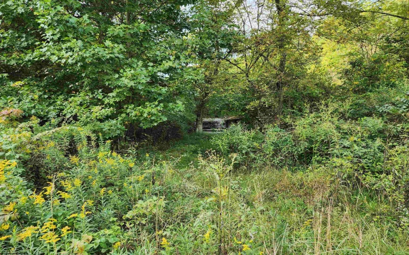 65 Buckwheat Road, Lost Creek, West Virginia 26385, ,Lots/land,For Sale,Buckwheat,10151744 65 Buckwheat Road, Lost Creek, West Virginia 26385, ,Lots/land,For Sale,Buckwheat,10151744