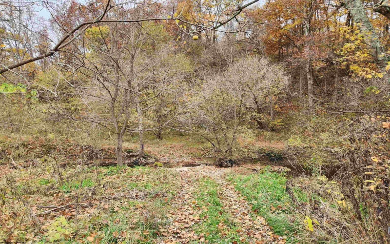 65 Buckwheat Road, Lost Creek, West Virginia 26385, ,Lots/land,For Sale,Buckwheat,10151744 65 Buckwheat Road, Lost Creek, West Virginia 26385, ,Lots/land,For Sale,Buckwheat,10151744