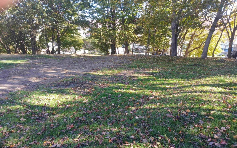 633 Blackwater Avenue, Davis, West Virginia 26260, 3 Bedrooms Bedrooms, 12 Rooms Rooms,2 BathroomsBathrooms,Single Family Detached,For Sale,Blackwater,10162070 633 Blackwater Avenue, Davis, West Virginia 26260, 3 Bedrooms Bedrooms, 12 Rooms Rooms,2 BathroomsBathrooms,Single Family Detached,For Sale,Blackwater,10162070