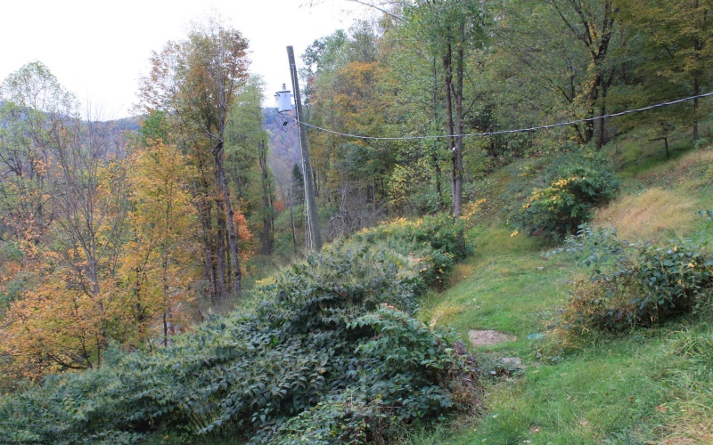 455 Cherry Falls Road, Webster Springs, West Virginia 26288, 2 Bedrooms Bedrooms, 9 Rooms Rooms,1 BathroomBathrooms,Single Family Detached,For Sale,Cherry Falls,10162067 455 Cherry Falls Road, Webster Springs, West Virginia 26288, 2 Bedrooms Bedrooms, 9 Rooms Rooms,1 BathroomBathrooms,Single Family Detached,For Sale,Cherry Falls,10162067