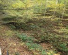 455 Cherry Falls Road, Webster Springs, West Virginia 26288, 2 Bedrooms Bedrooms, 9 Rooms Rooms,1 BathroomBathrooms,Single Family Detached,For Sale,Cherry Falls,10162067 455 Cherry Falls Road, Webster Springs, West Virginia 26288, 2 Bedrooms Bedrooms, 9 Rooms Rooms,1 BathroomBathrooms,Single Family Detached,For Sale,Cherry Falls,10162067