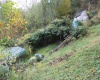 455 Cherry Falls Road, Webster Springs, West Virginia 26288, 2 Bedrooms Bedrooms, 9 Rooms Rooms,1 BathroomBathrooms,Single Family Detached,For Sale,Cherry Falls,10162067 455 Cherry Falls Road, Webster Springs, West Virginia 26288, 2 Bedrooms Bedrooms, 9 Rooms Rooms,1 BathroomBathrooms,Single Family Detached,For Sale,Cherry Falls,10162067