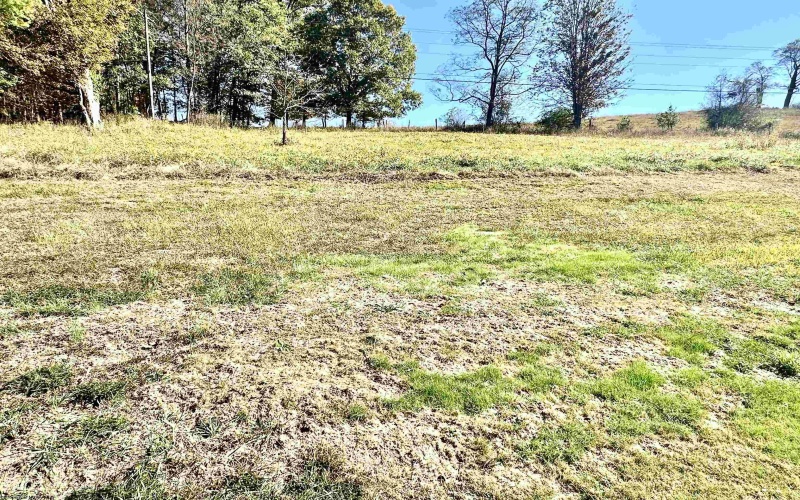 13948 Audra Park Road, Volga, West Virginia 26238, 3 Bedrooms Bedrooms, 7 Rooms Rooms,1 BathroomBathrooms,Single Family Detached,For Sale,Audra Park,10162065 13948 Audra Park Road, Volga, West Virginia 26238, 3 Bedrooms Bedrooms, 7 Rooms Rooms,1 BathroomBathrooms,Single Family Detached,For Sale,Audra Park,10162065