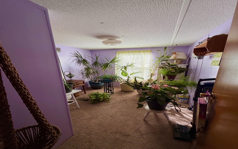 1722 Hackers Creek Road, Buckhannon, West Virginia 26201, 3 Bedrooms Bedrooms, 6 Rooms Rooms,2 BathroomsBathrooms,Single Family Detached,For Sale,Hackers Creek,10162075 1722 Hackers Creek Road, Buckhannon, West Virginia 26201, 3 Bedrooms Bedrooms, 6 Rooms Rooms,2 BathroomsBathrooms,Single Family Detached,For Sale,Hackers Creek,10162075