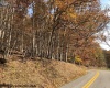 TBD Holly Meadows Road, Parsons, West Virginia 26287, ,Lots/land,For Sale,Holly Meadows,10162100