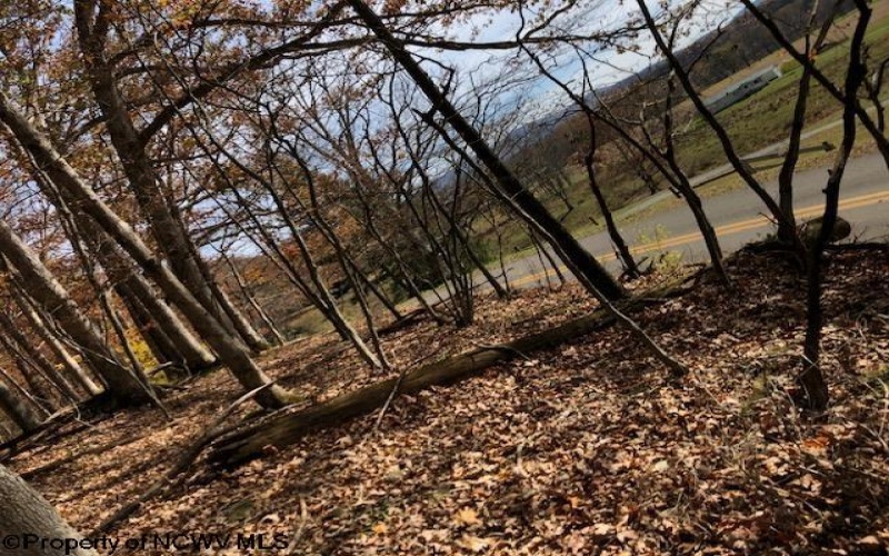 TBD Holly Meadows Road, Parsons, West Virginia 26287, ,Lots/land,For Sale,Holly Meadows,10162100