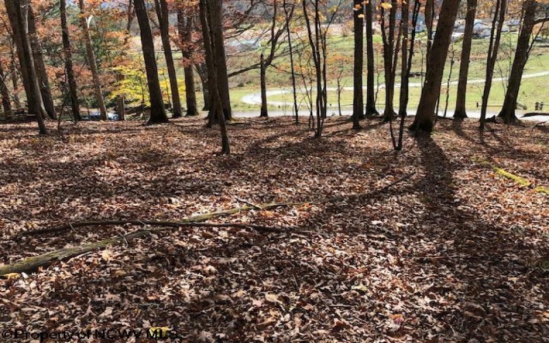 TBD Holly Meadows Road, Parsons, West Virginia 26287, ,Lots/land,For Sale,Holly Meadows,10162100