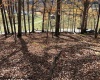 TBD Holly Meadows Road, Parsons, West Virginia 26287, ,Lots/land,For Sale,Holly Meadows,10162100