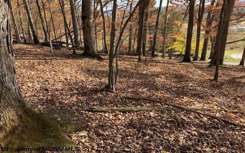 TBD Holly Meadows Road, Parsons, West Virginia 26287, ,Lots/land,For Sale,Holly Meadows,10162100