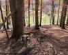 TBD Holly Meadows Road, Parsons, West Virginia 26287, ,Lots/land,For Sale,Holly Meadows,10162100